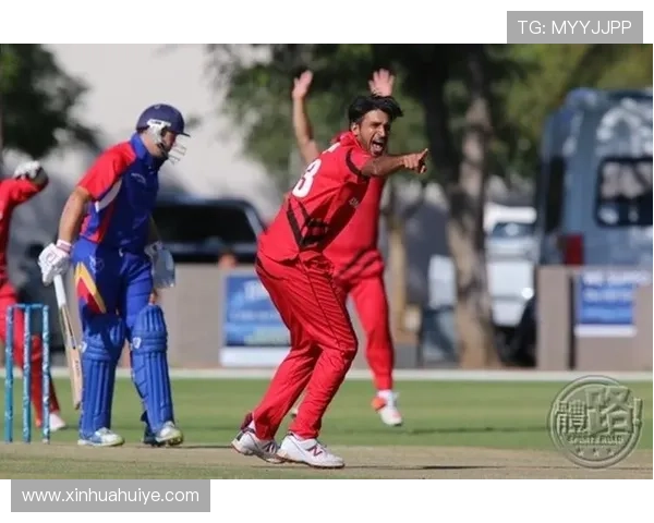 世界体育职业联赛（世界体育职业联赛排名）sports